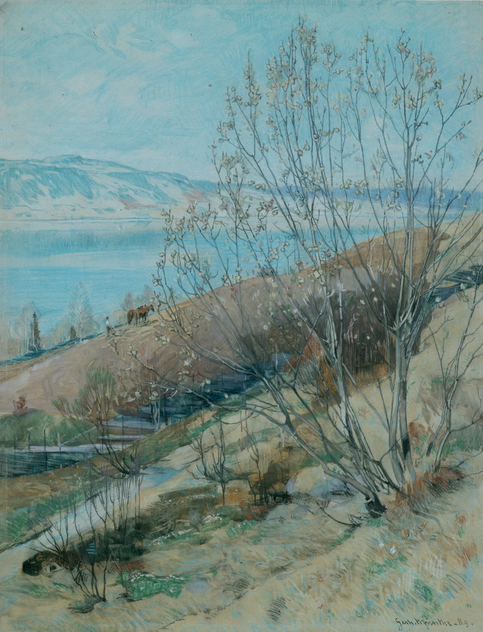  av Gerhard Peter Frantz Vilhelm Munthe