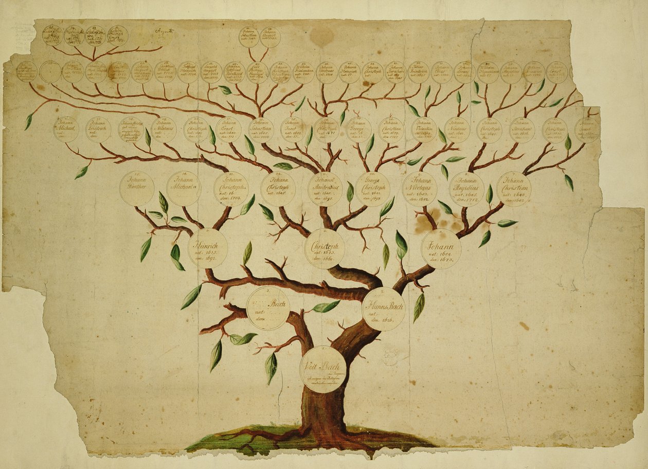 Bach Family Tree, ca. 1750-1770 (penn og blekk og blyant på papir) av German School