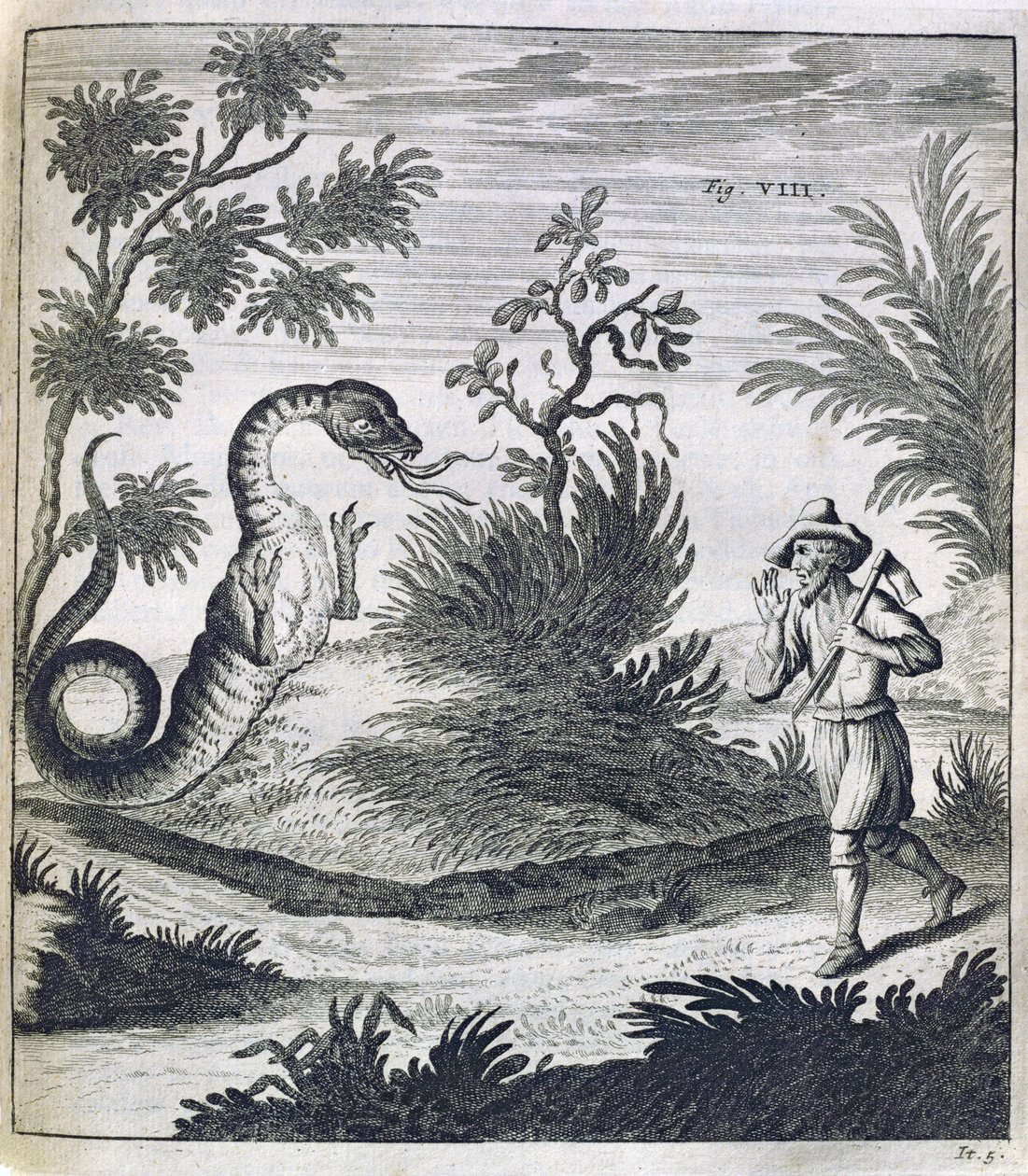 En fryktelig drage, ca. 1660 av German School