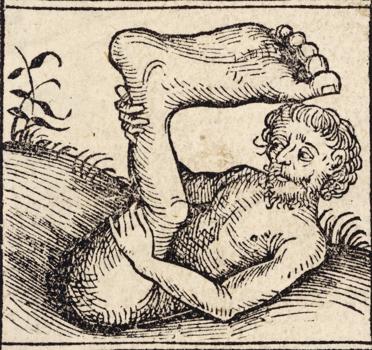 En sciopod, Man with a Swollen Foot, fra ``Registrum Hujus Operis Libri Cronicarum cum Figuri et Imagibus ab Inicio Mundi'', av Hartmann Schedel (1440-1515) utgitt i Nürnberg av German School