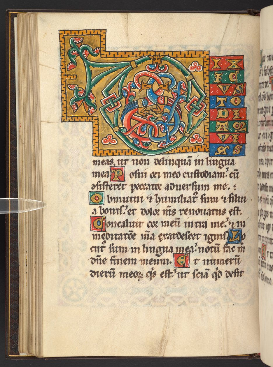 Legge til. 60629, f.43v Store innrammede initialer i gull og farger med foliate og noen ganger zoomorphic og antropomorphic ornament (vellum) av German School