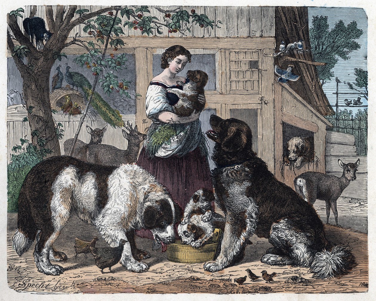 Affection between a farmer and her dogs. In “” Wenn Jemand eine Reise thut, so kann er was erzahlen”” (When someone travels, this is what he can tell), German tale by Franz Wiedemann av German School