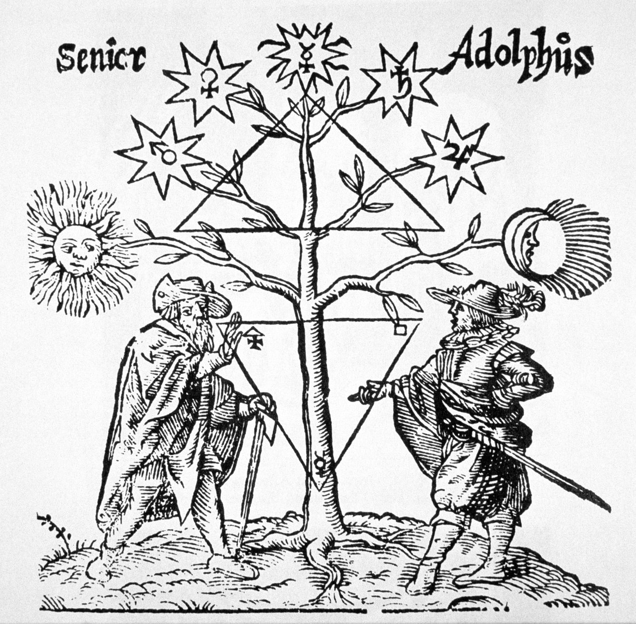 Alchemical Tree, Diagrammatic and Emblemmatic, fra Museum Hermeticum av Thomas Norton (1749) illustrert i en magihistorie publisert sent på 1800-tallet av German School