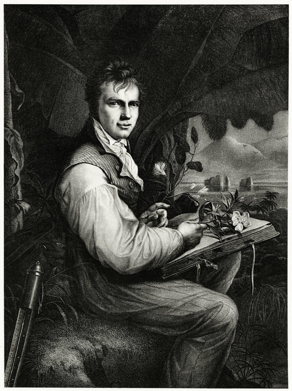 Alexander von Humboldt av German School