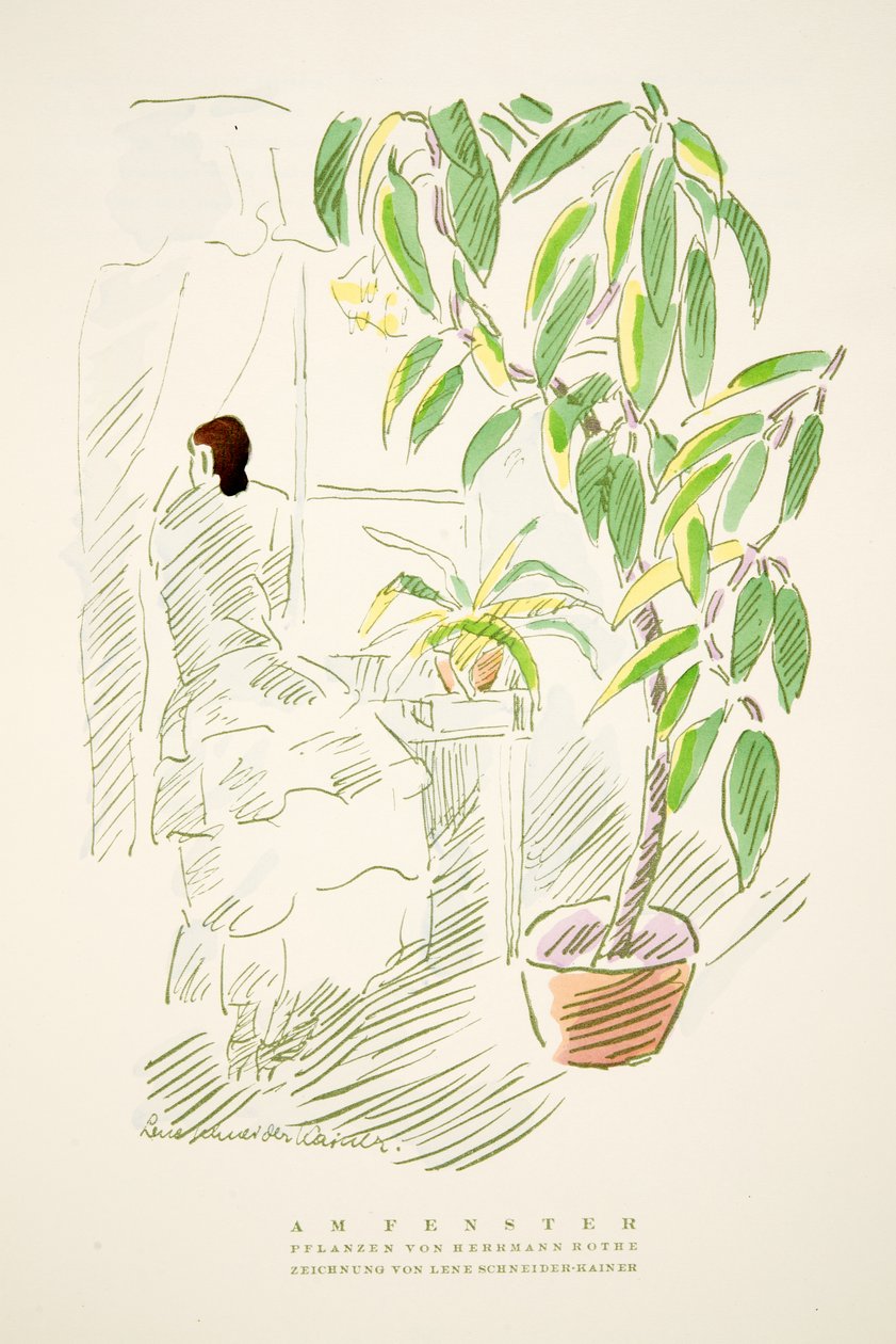 Am Fenster, planter av Hermann Rothe, fra Styl, pub.1922 (pochoir-trykk) av German School