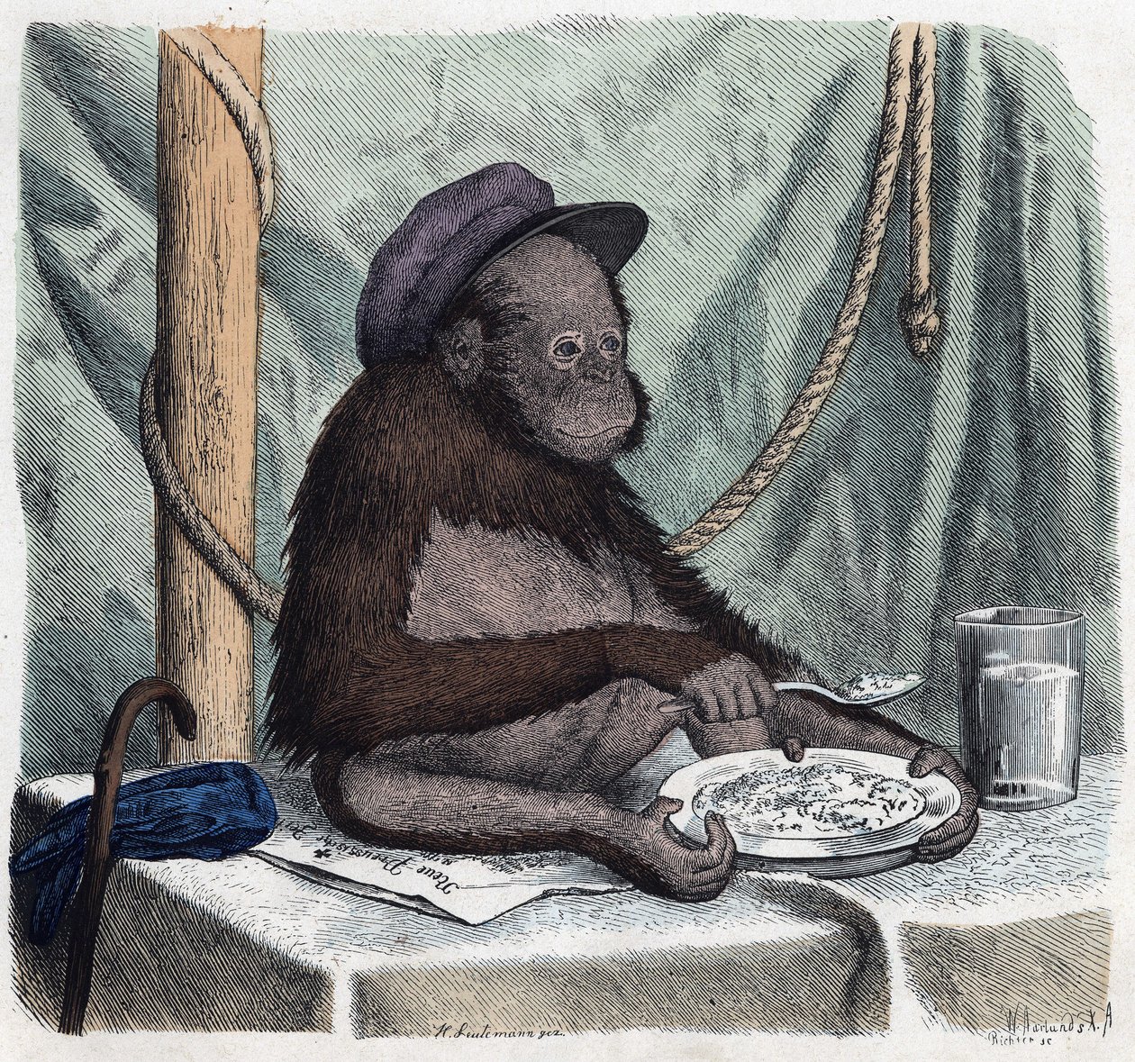 An educated orang outan (orang-utan, orang outang, orang-utang) eats rice with a spoon. In “” Wenn Jemand eine Reise thut, so kann er was erzahlen”” (When someone travels, this is what he can tell), German tale by Franz Wiedemann av German School