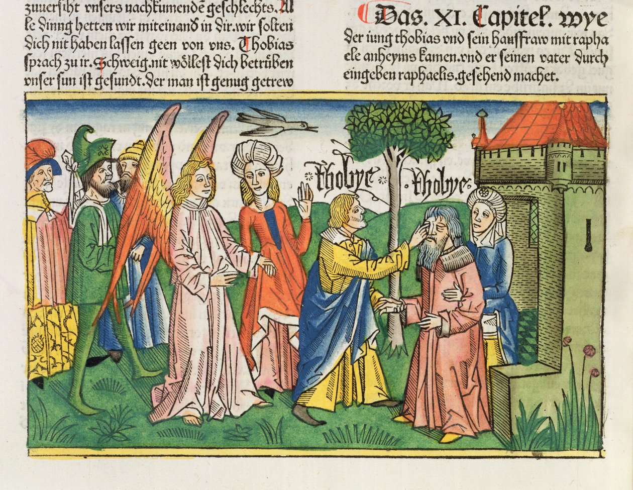 Apokryfer: Tobias gjenoppretter faren Tobits syn med gallen av en fisk, fra Nürnbergbibelen (Biblia Sacra Germanaica) (farget tresnitt) av German School