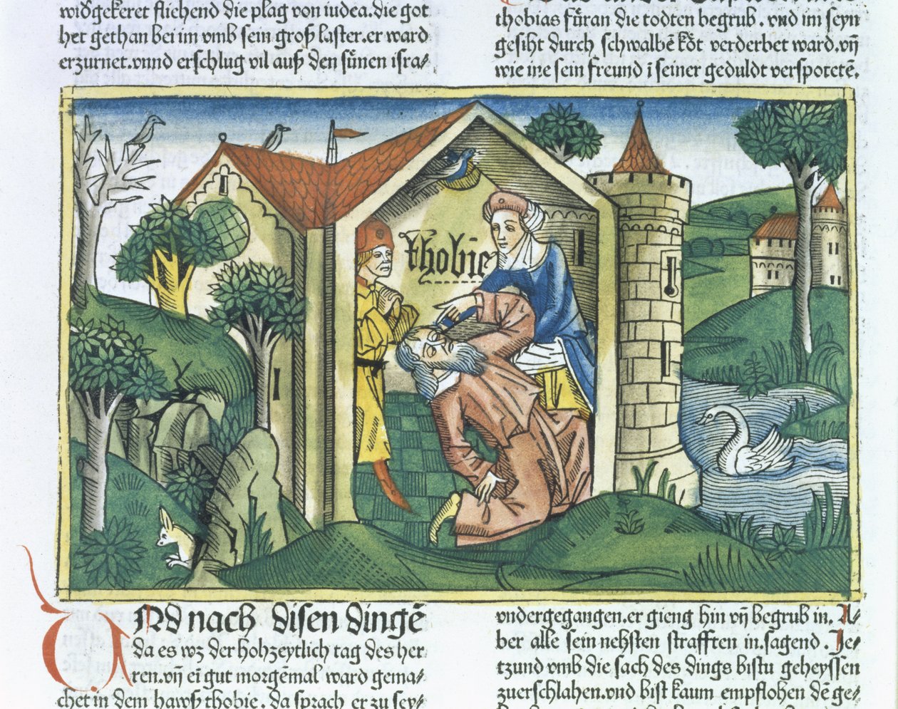 Apokryfer: Tobit er blendet av spurveskitt, fra Nürnbergbibelen (Biblia Sacra Germanaica) (farget tresnitt) av German School