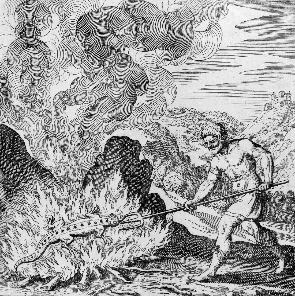 Brenner en salamander fra Musaeum Hermeticum av German School