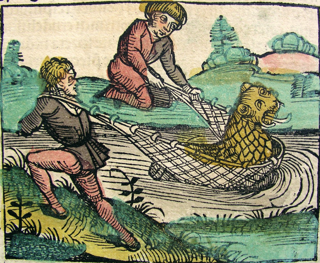 Catching a Lion Cat fish Monster publisert i Nuremberg Chronicle, 1493 av German School