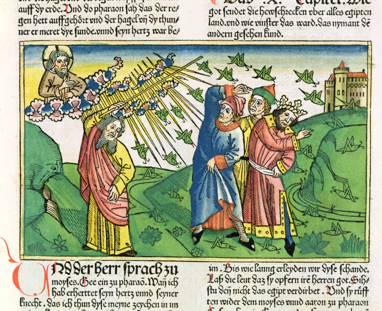 2. Mosebok 10:1-20 De syv plager i Egypt: gresshoppene, fra Nürnbergbibelen (Biblia Sacra Germanaica) (farget tresnitt) av German School