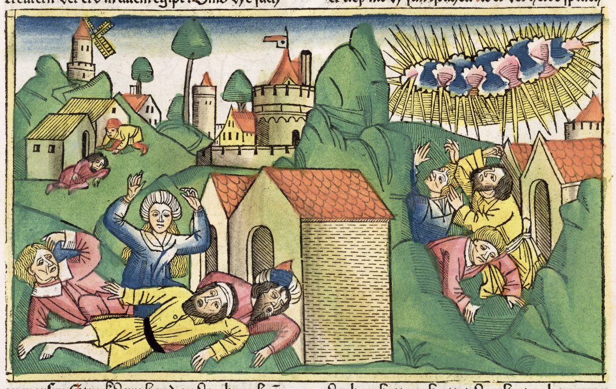2. Mosebok 11 1-10 De syv plager i Egypt: døden til de eldste sønnene, fra Nürnbergbibelen (Biblia Sacra Germanaica) (farget tresnitt) av German School
