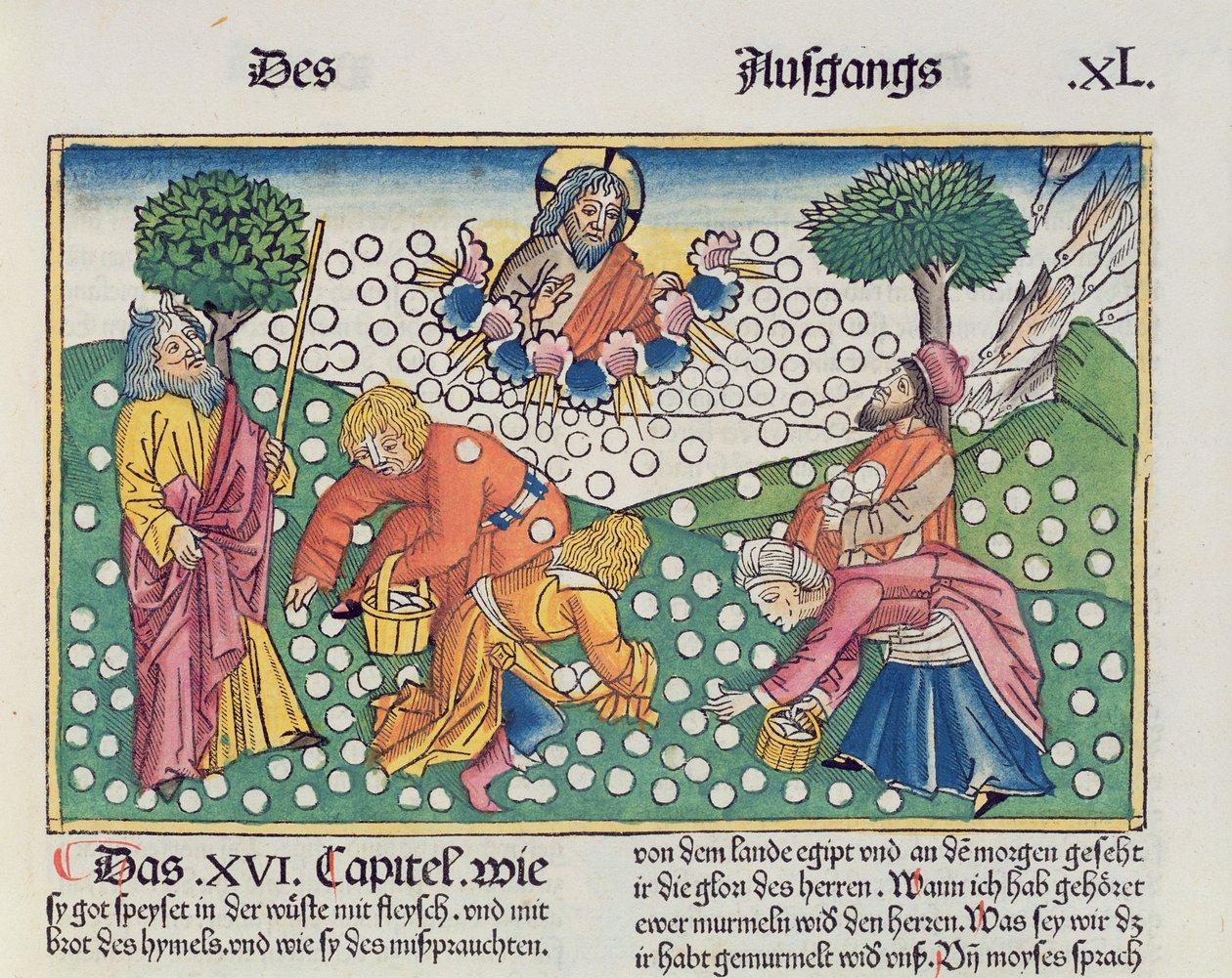 2. Mosebok 16 13-22 Gud gir vaktel og manna til israelittene, fra Nürnbergbibelen (Biblia Sacra Germanaica) (farget tresnitt) av German School