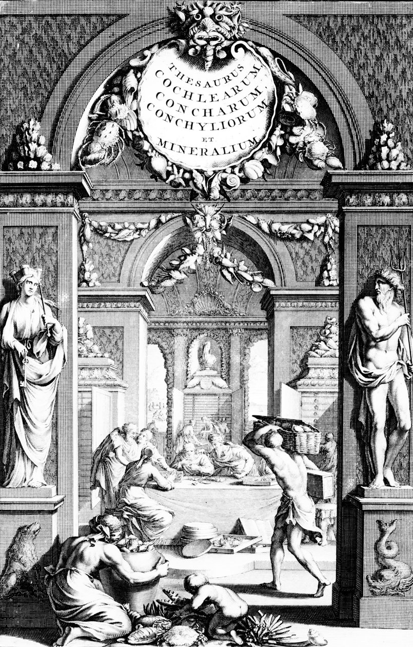 Frontispice til synonymordbokbilder av testaceous fisk av Georg Eberhard Rumphius, utgave utgitt i 1739 av German School