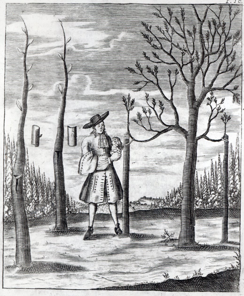Gardening and Plant Maladies, en illustrasjon fra 