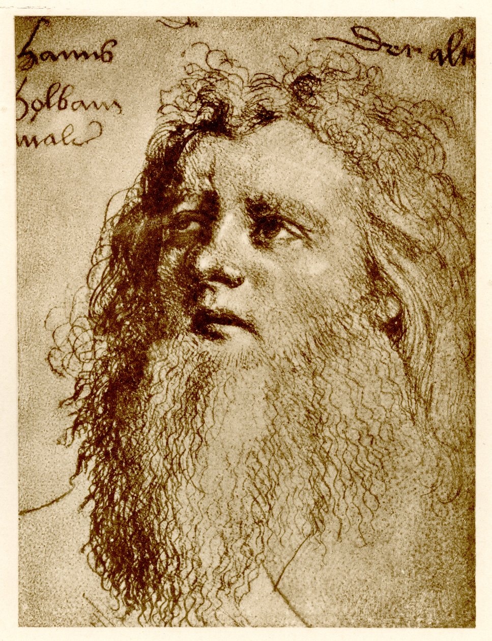 Hans Holbein den eldre, 1884-90 (fototype) av German School