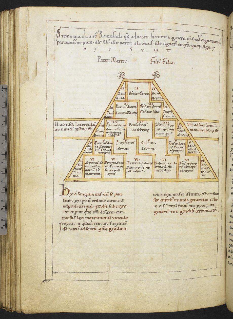 Harley MS 2660 f.91v 'Etymologiae and De natura rerum' av Isidore av Sevilla av German School