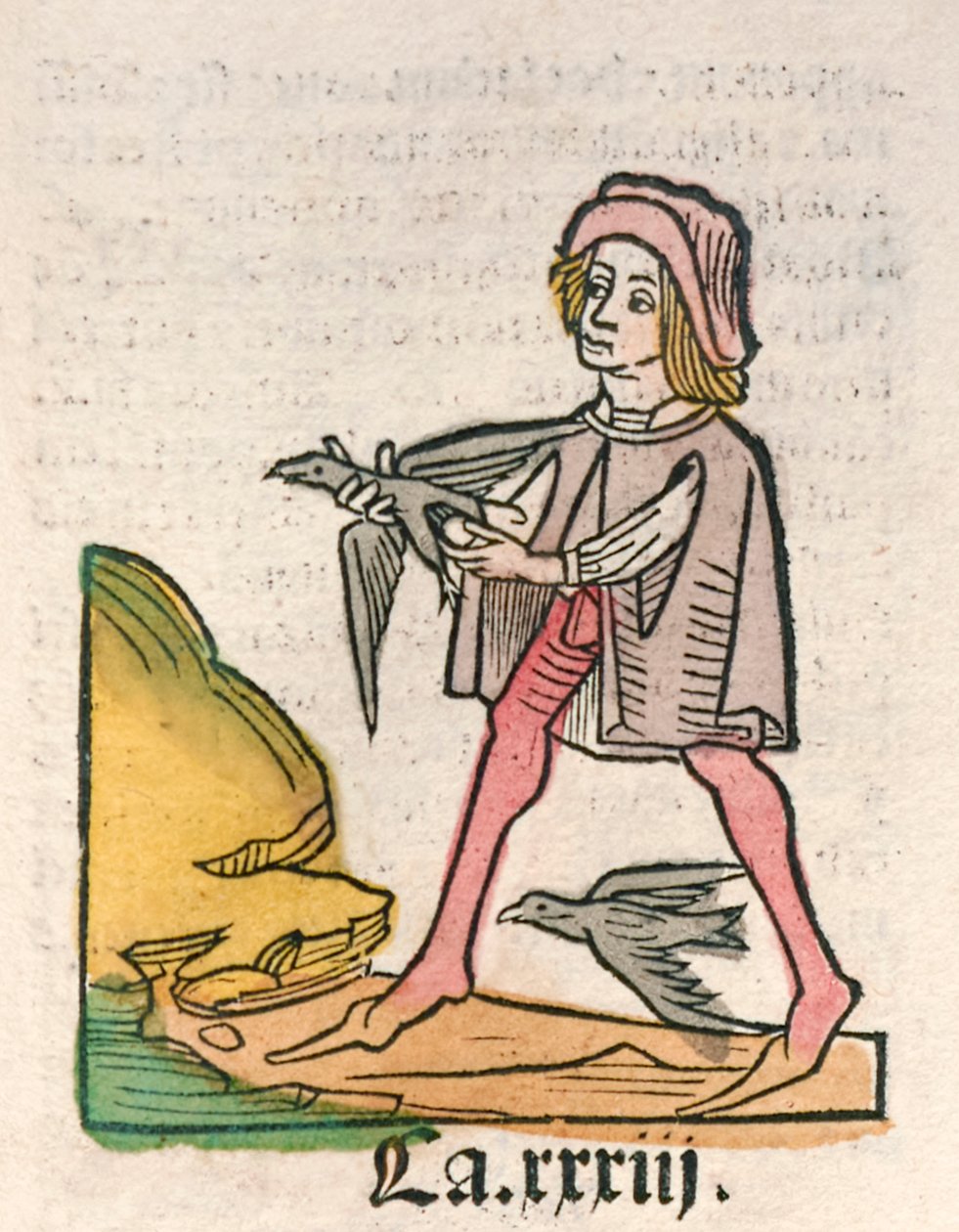 Hortus Sanitatis [Helsens hage] av Jacob Meydenbach utgitt i 1491 (tresnitt) av German School