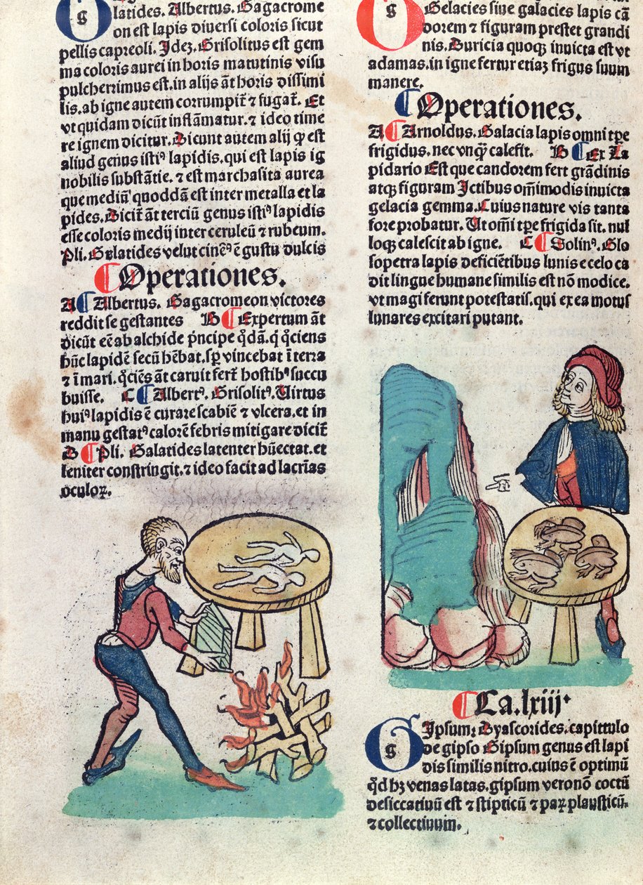 Illustrert side fra Hortus Sanitatis, 1491 (farget tresnitt) av German School