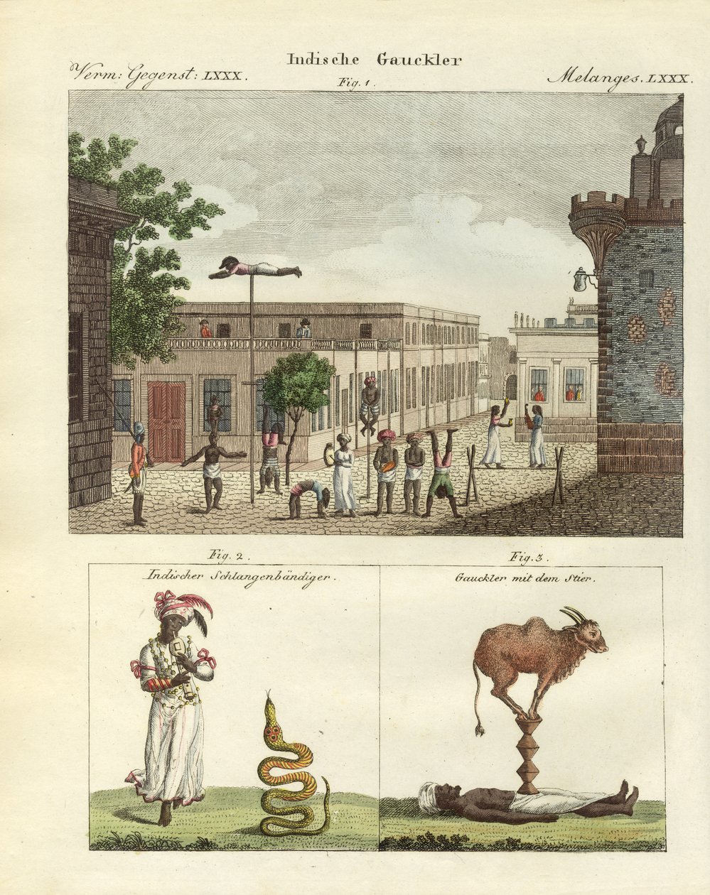 Indiske bateleurs (farget gravering) av German School