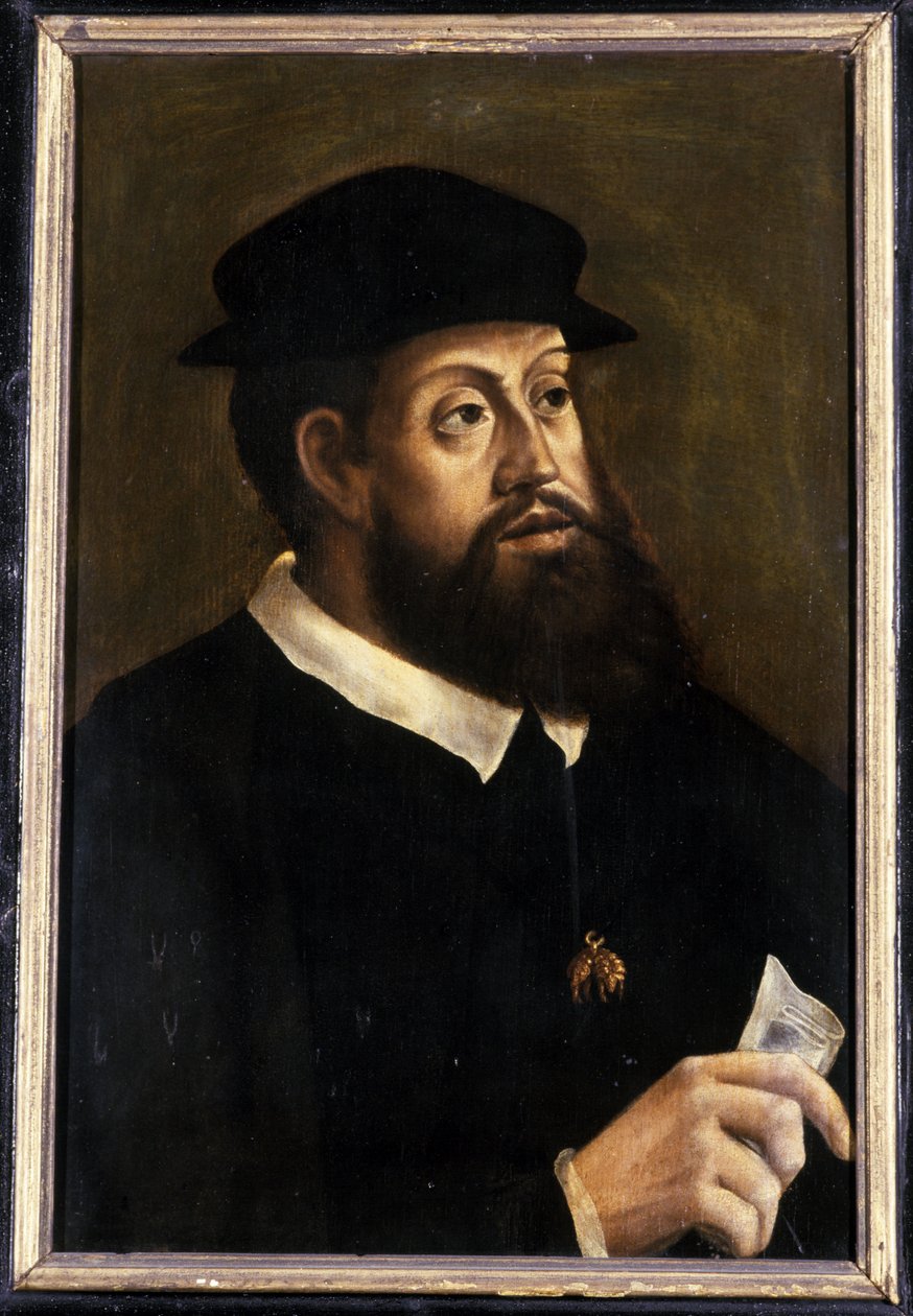 Kong Karl V, 1501-1600 av German School