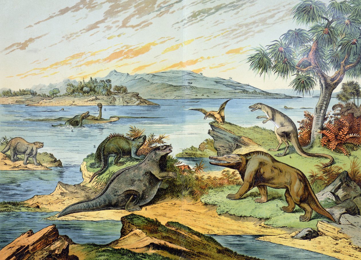 Landskap som skildrer krittperioden (146 til 65 millioner år siden) illustrasjon fra Natural History of Mineralogy and Palaeontology av GH von Schubert, 1888 av German School
