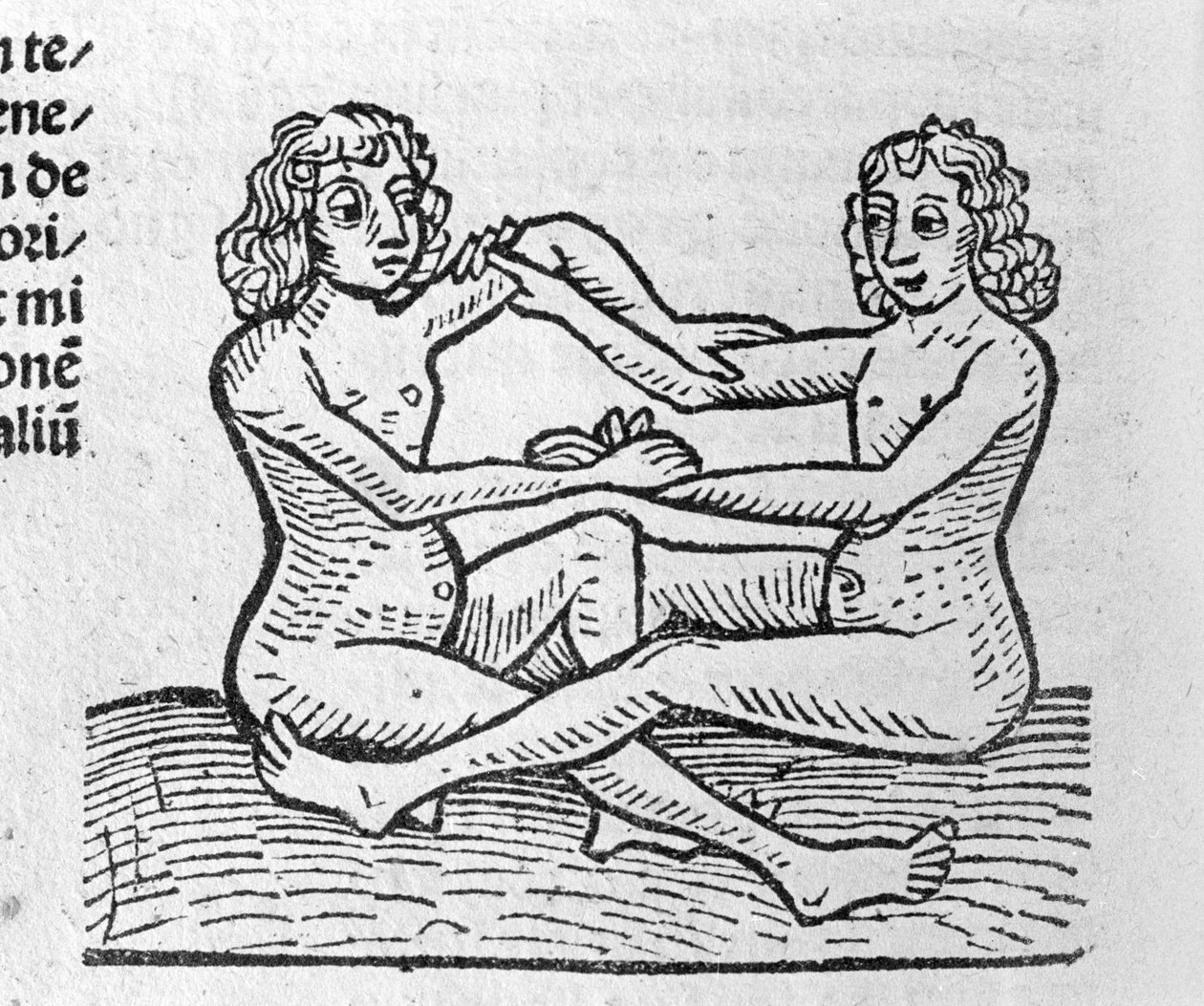 Les Gemini - i Traité de Johannes Angelo om årenes store forbindelser og deres revolusjoner. Augsburg, Erhard Ratdolt av German School