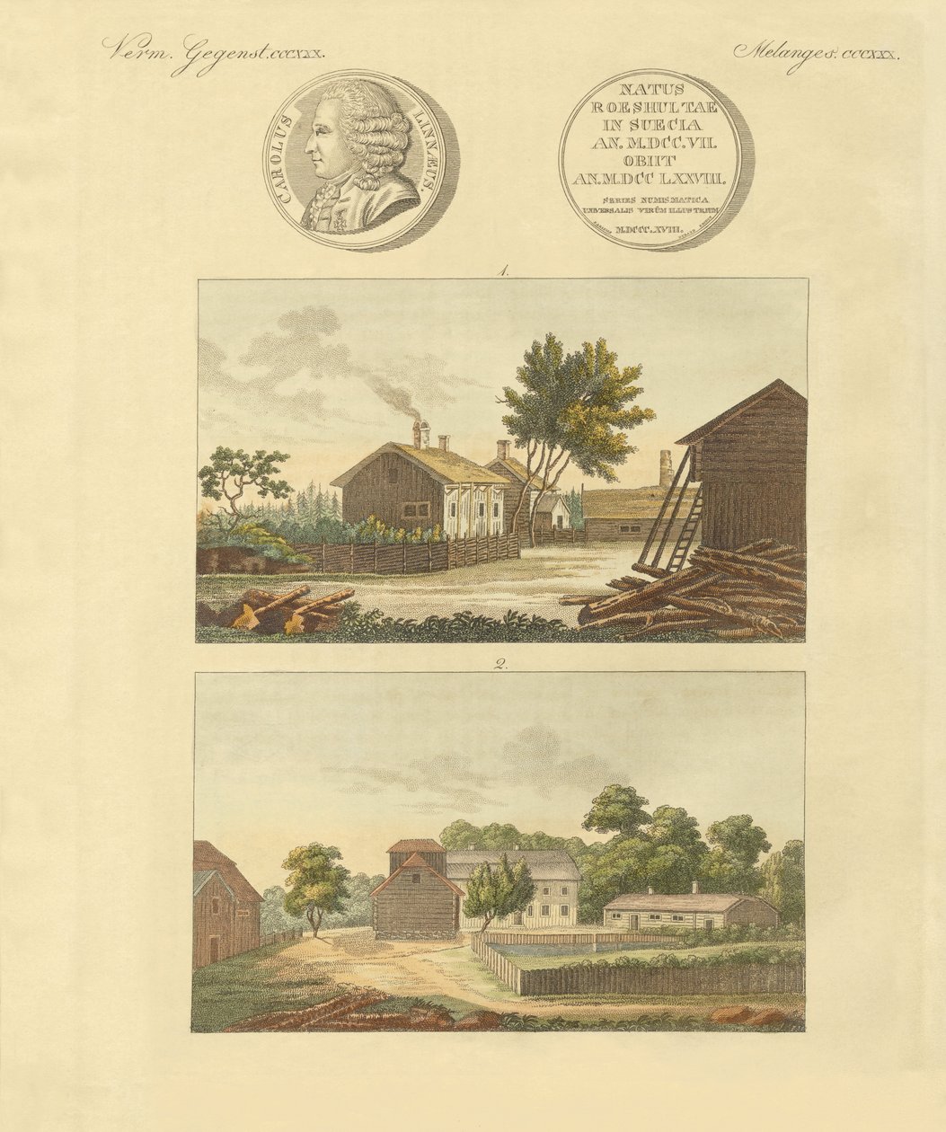 Linnes leiligheter (farget gravering) av German School