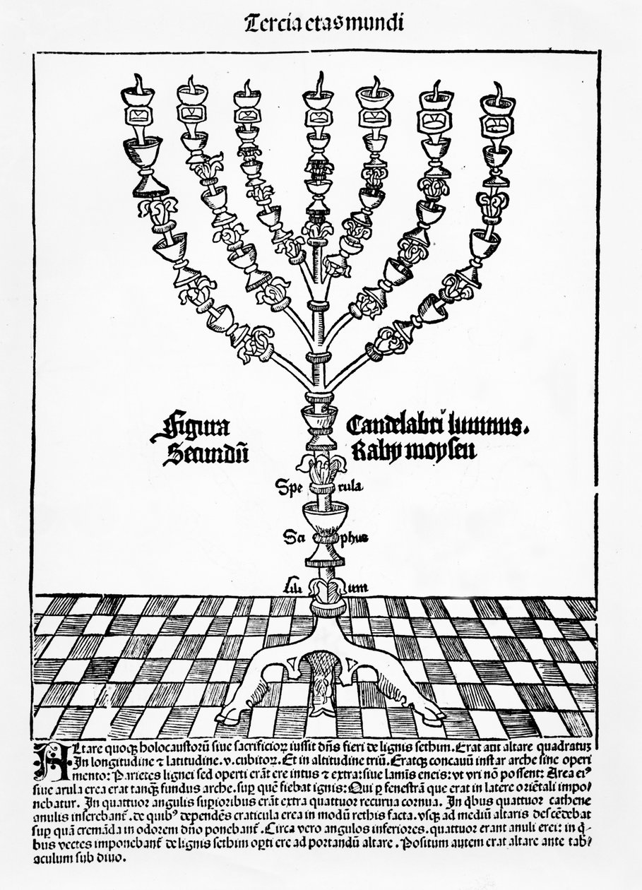 Menorah, fra Liber Chronicarum av Hartmann Schedel, utgitt i Nürnberg, 1493 av German School