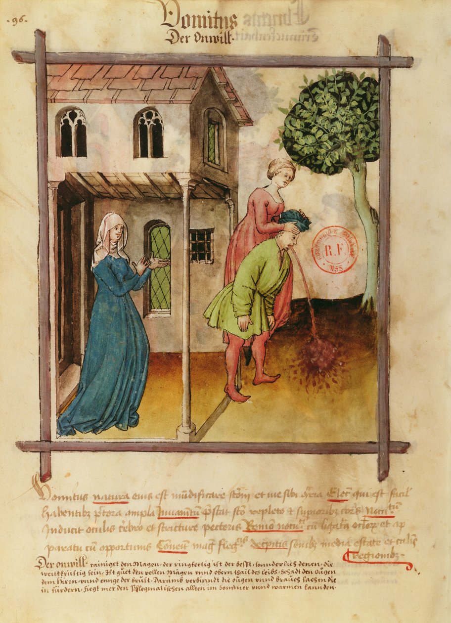Ms Lat 9333 fol.96v Man Brekninger, fra Tacuinum Sanitatis av German School