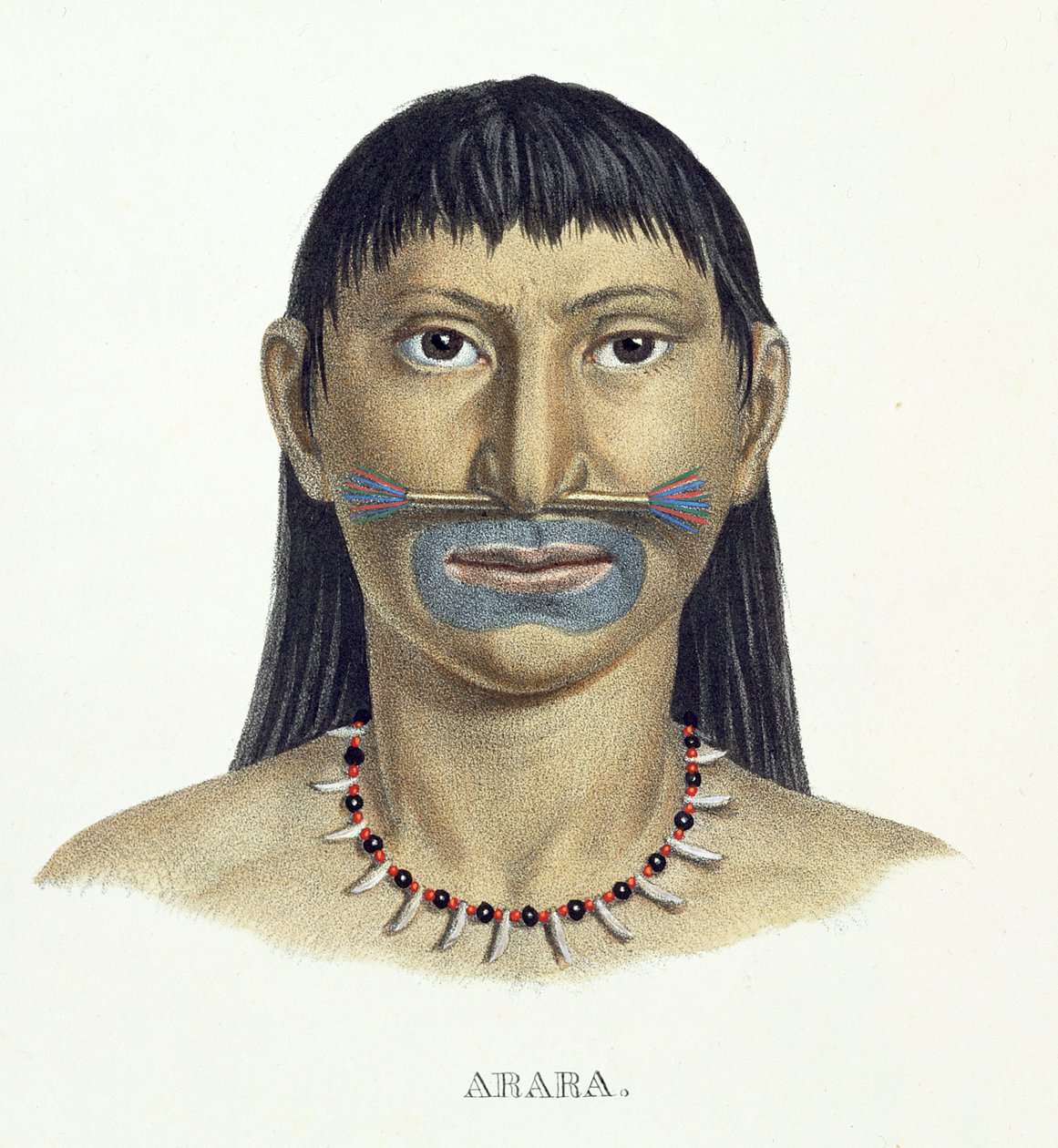 Innfødt mann av Arara-stammen med blå ansiktsmaling, fra Atlas of a Journey in Brazil av Johann Baptist von Spix (1781-1826) og Karl Friedrich Philipp Martius (1794-1868), utgitt ca. 1835-50 (farge) av German School