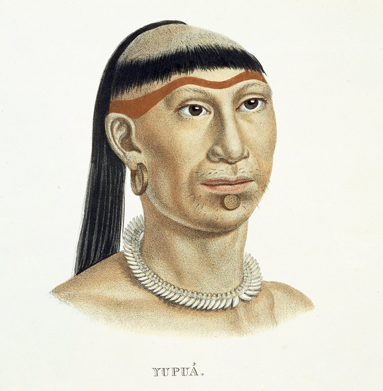 Innfødt mann av Yupua-stammen, med nakket og barbert hår og et halskjede laget av dyretenner, fra Atlas of a Journey in Brazil av Johann Baptist von Spix (1781-1826) og Karl Friedrich Philipp Mar av German School