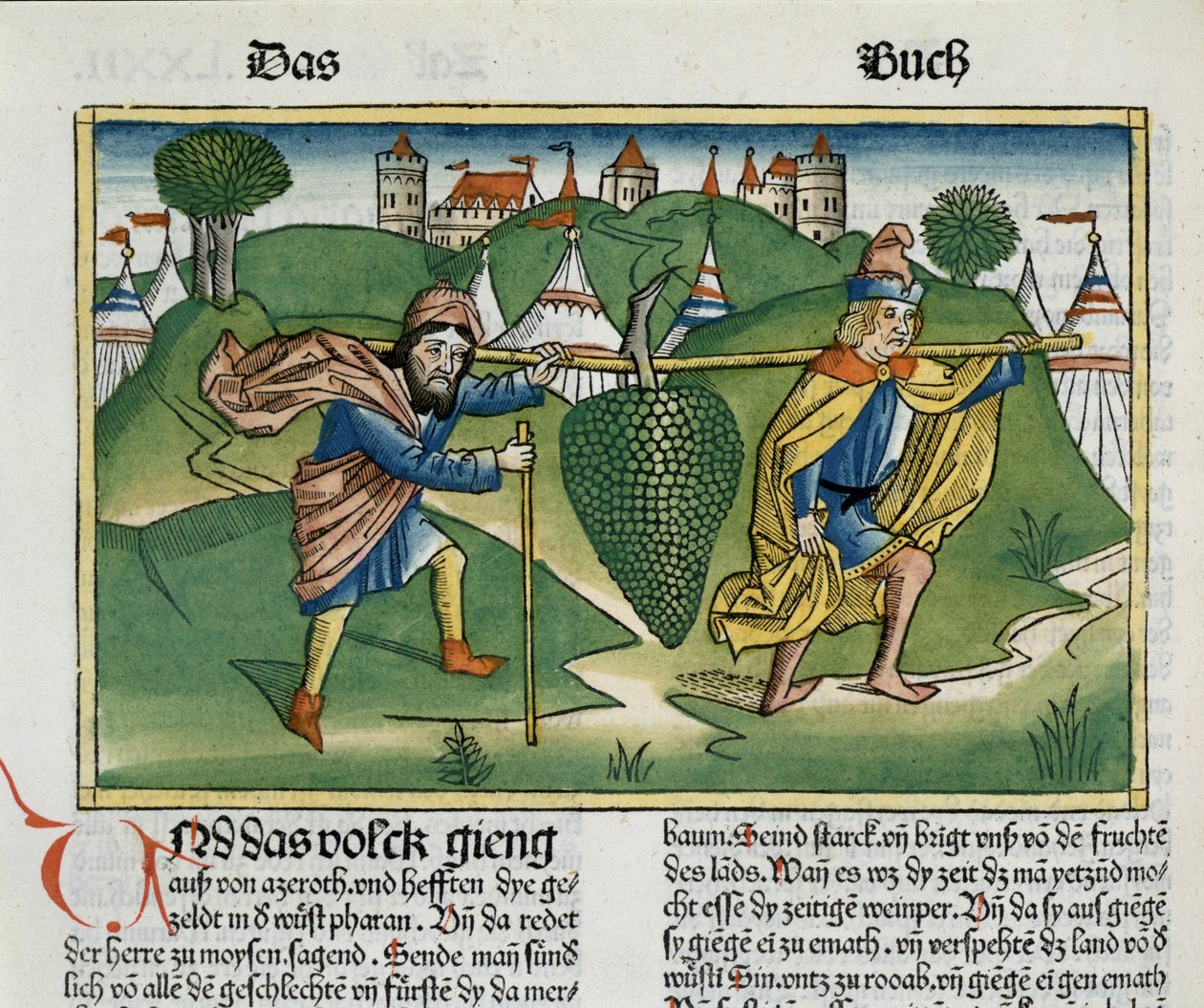 Nummer 13 23 Eschols druer, fra Nürnbergbibelen (Biblia Sacra Germanaica) (farget tresnitt) av German School