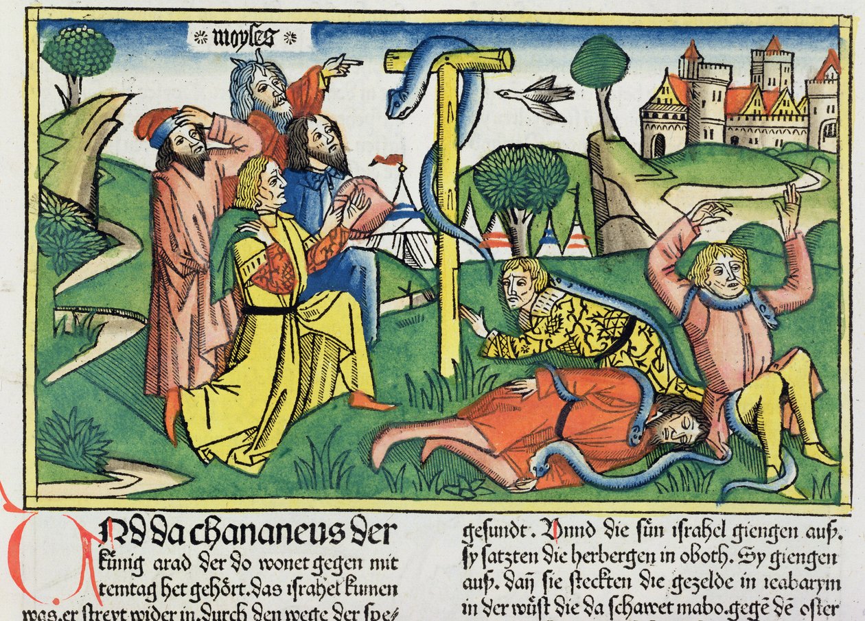 Nummer 21 4-9 Giftige slanger biter opprørske israelitter, fra Nürnbergbibelen (Biblia Sacra Germanaica) (farget tresnitt) av German School
