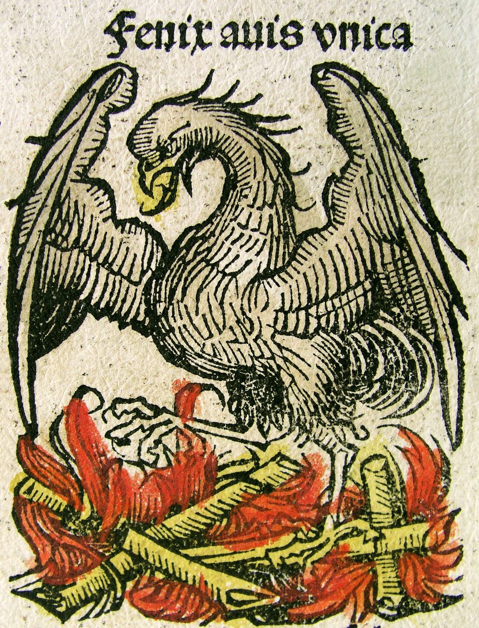 Phoenix publisert i Nuremberg Chronicle, 1493 av German School