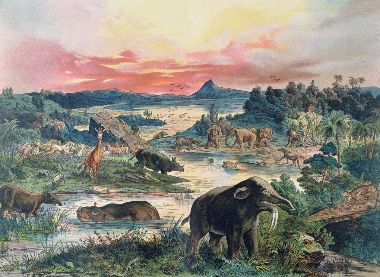 Forhistorie - tertiær - gjenoppbygging av naturlig miljø i Europa og noen av dyrene fra denne perioden, 1886 av German School