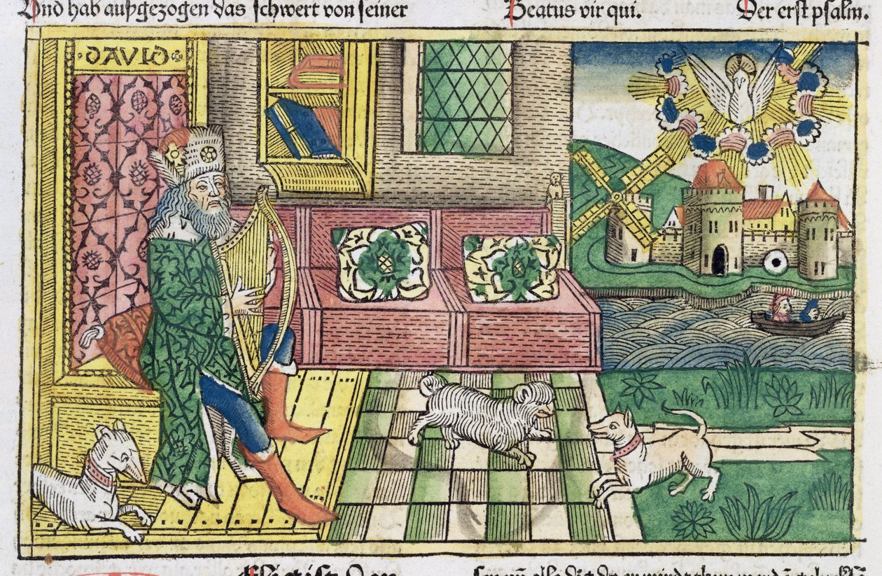 Salmer: frontispice som viser kong David som spiller lyre, fra Nürnbergbibelen (Biblia Sacra Germanaica) (farget tresnitt) av German School