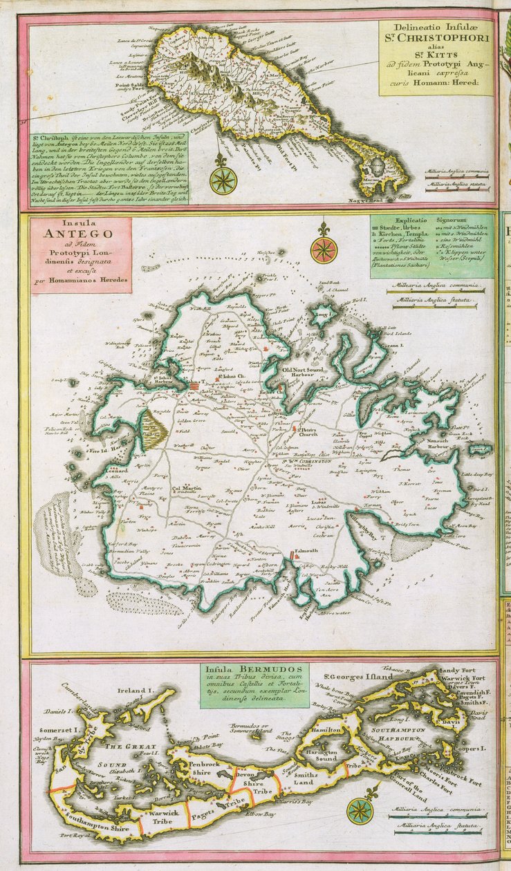 St. Kitts, Antigua og Bermuda, detalj fra et kart over engelske kolonier i Karibien, pub. av Homanns arvinger, Nürnburg, ca. 1750 av German School