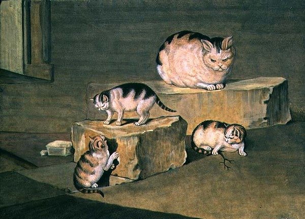 Studie av katter av German School