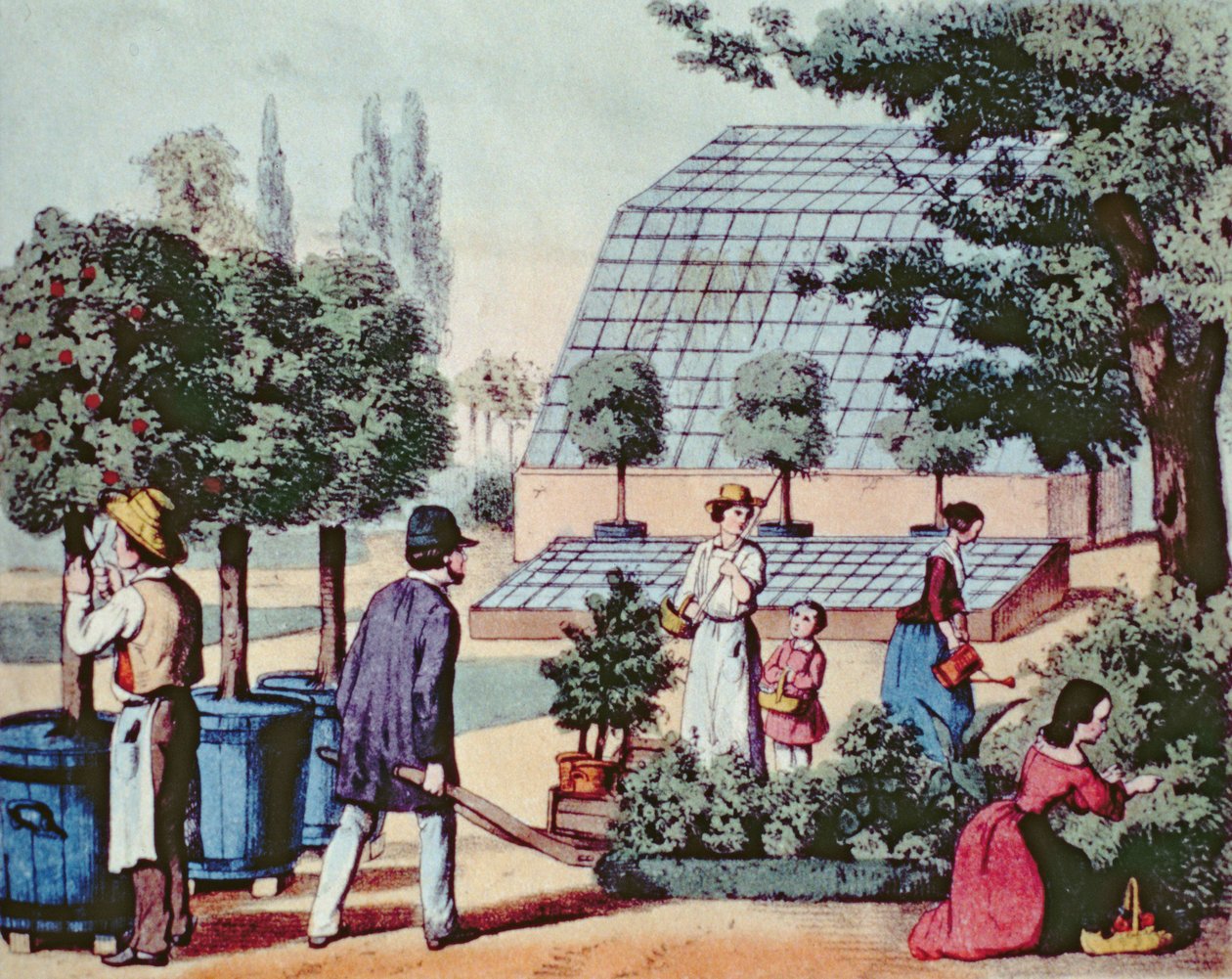 Tending the Garden, ca. 1860 (fargegravering) av German School