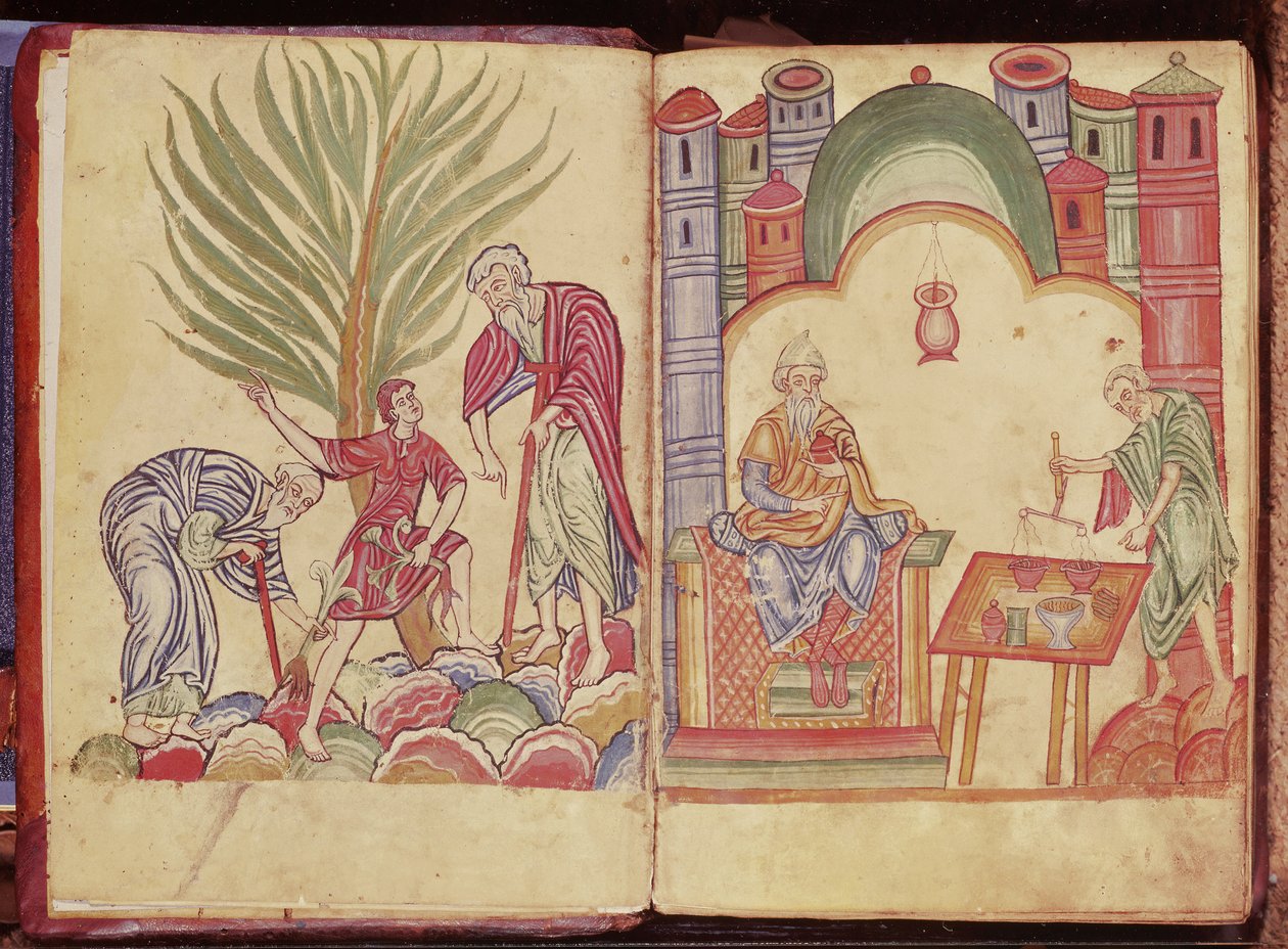 Apotekerkunsten, fra Apuleius Dioscorides av German School