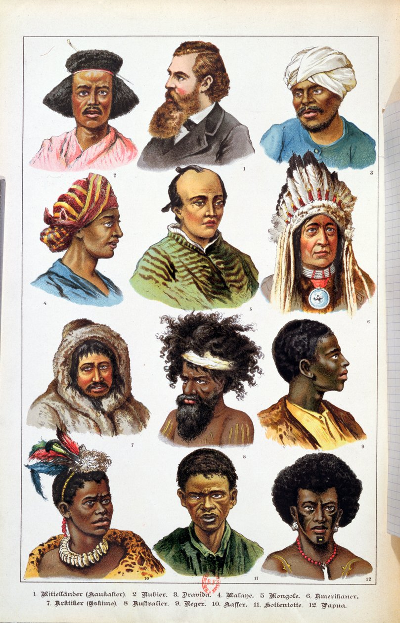The Different Human Races, fra Natural History of the Animal Kingdom av Gotthelf Heinrich von Schubert (1780-1860), 1861 (fargegravering) av German School