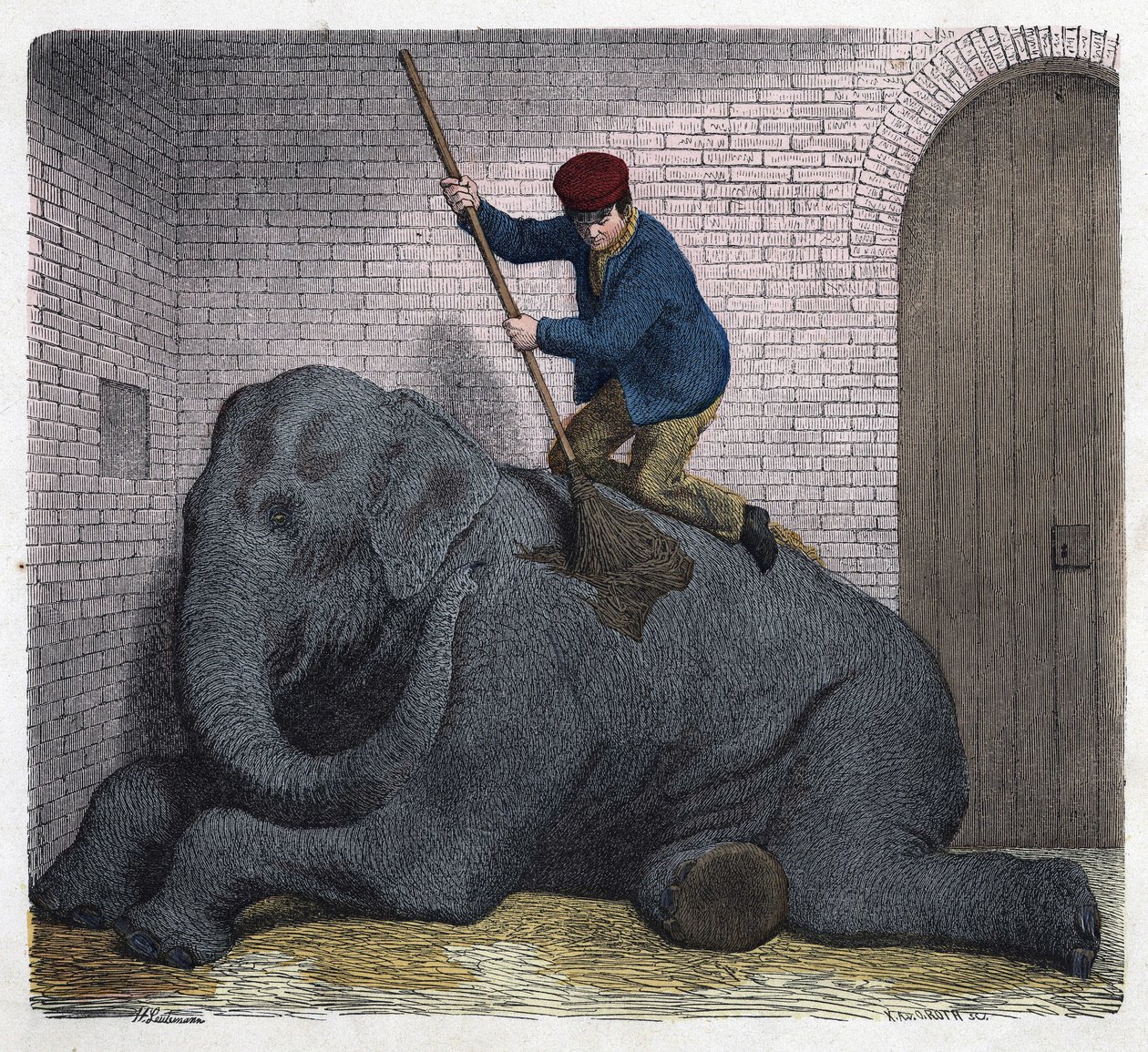The morning toilet of the Lilli elephant. In “” Wenn Jemand eine Reise thut, so kann er was erzahlen”” (When someone travels, this is what he can tell), German tale by Franz Wiedemann av German School