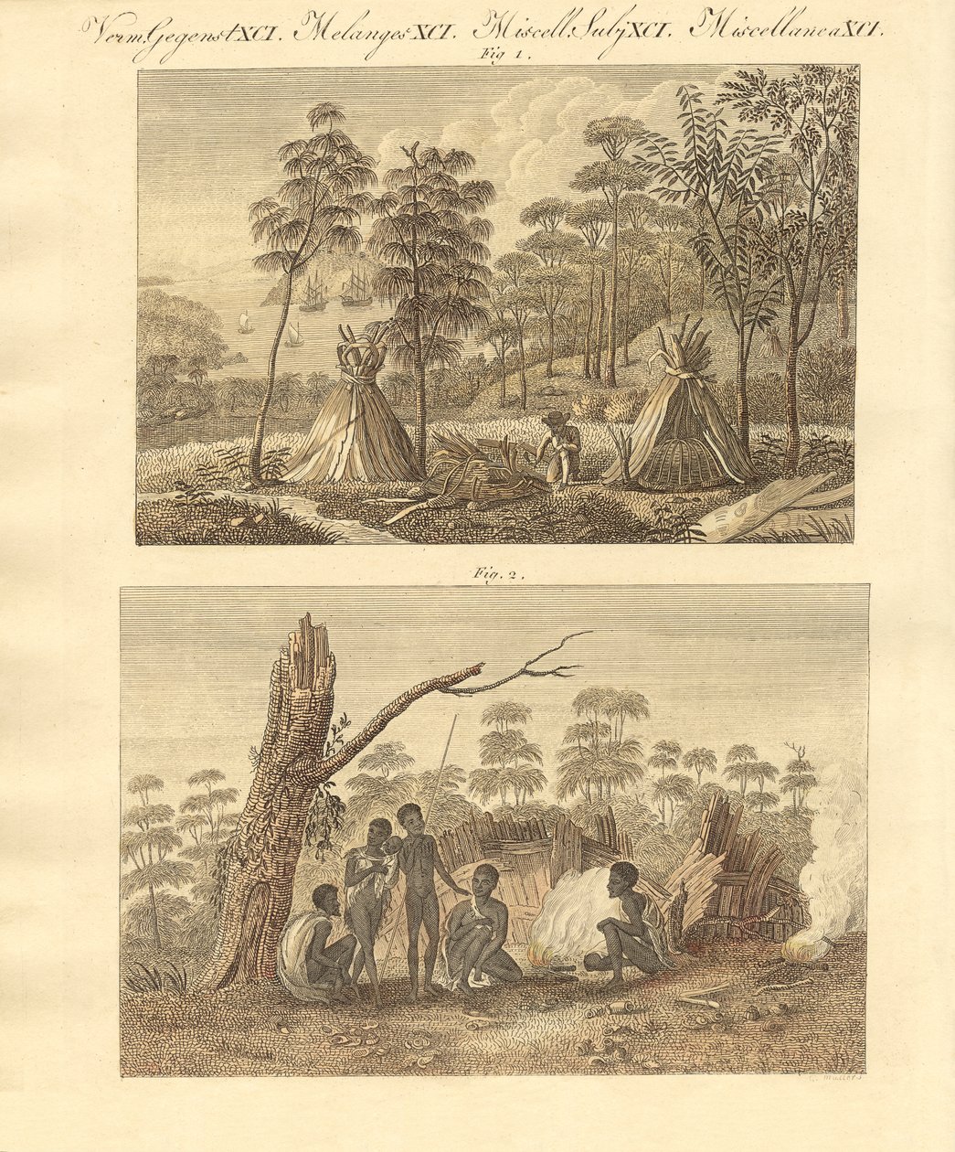 Van Diemens land (farget gravering) av German School
