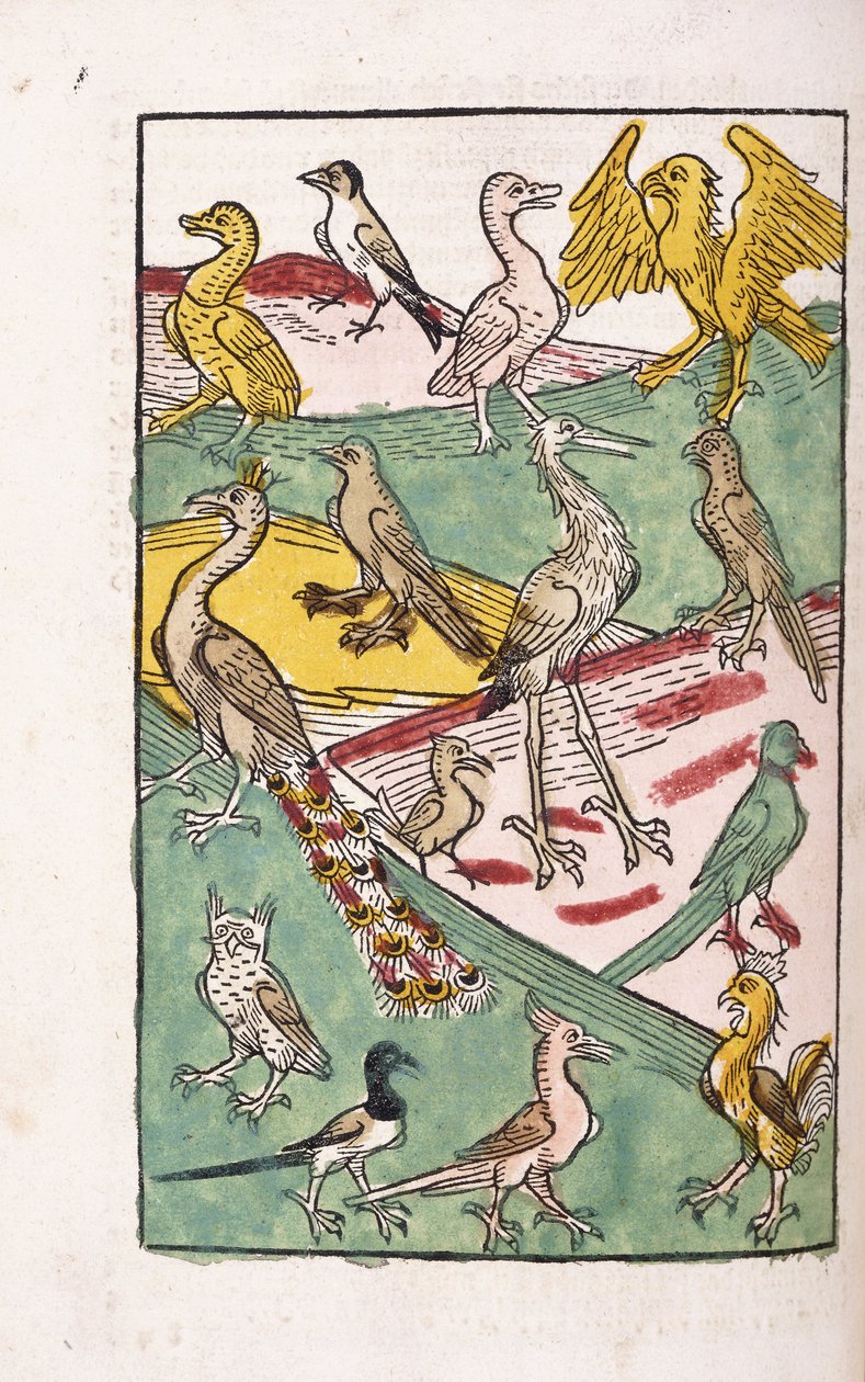 Ulike fuglearter i et landskap, 1499 av German School