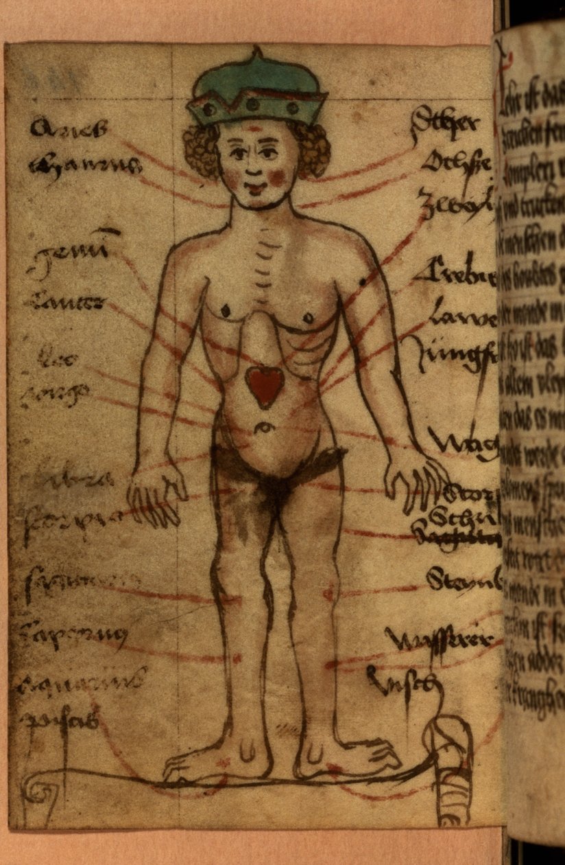 Stjernetegn som viser posisjonen til hjertet, fra en samling av bønner og astrologiske figurer av German School