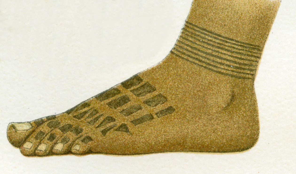 eksempel på Dayak fottatoveringsdesign, Borneo, 1894 av German School