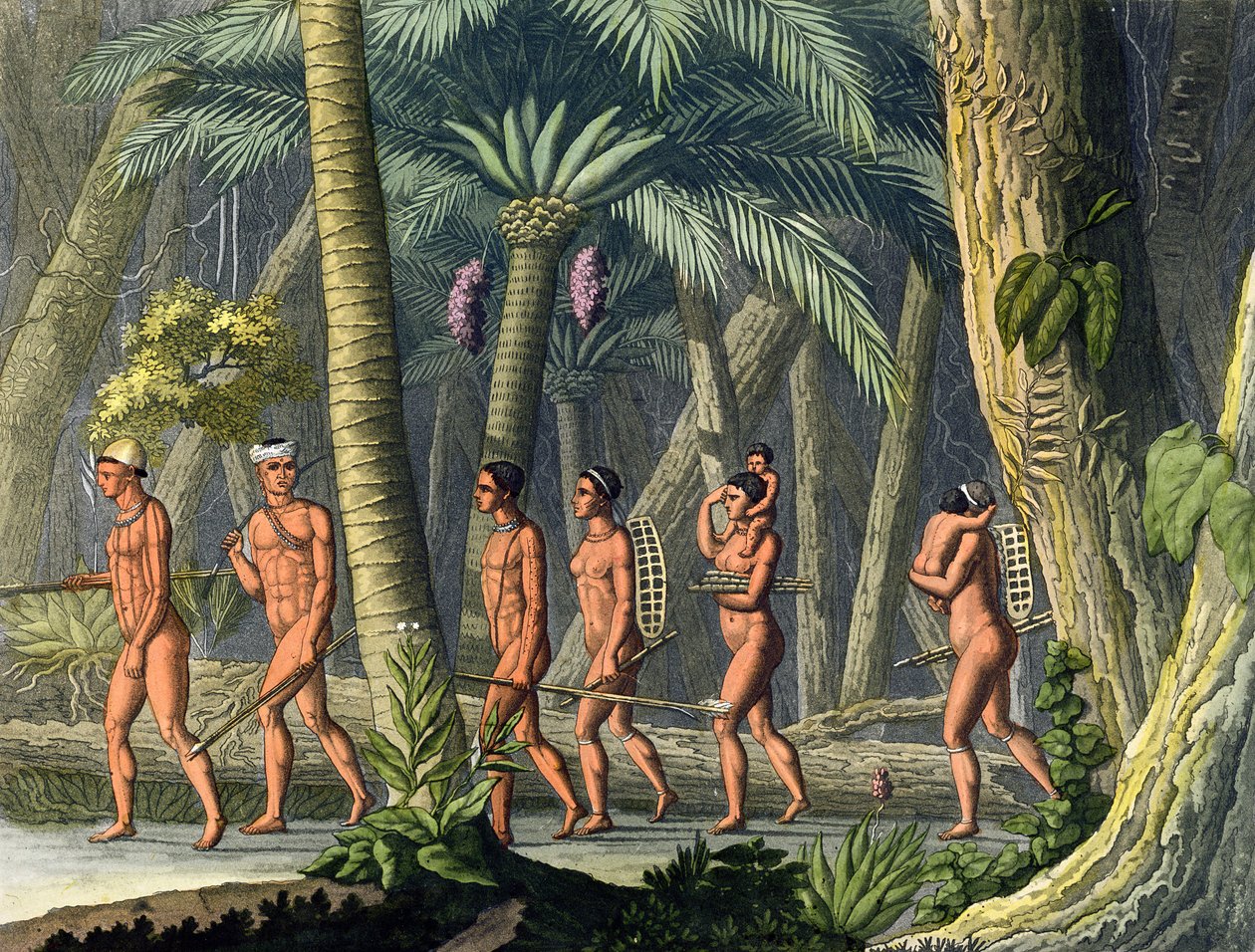 Indianske Puri Tribesmen in their Forest, fra 