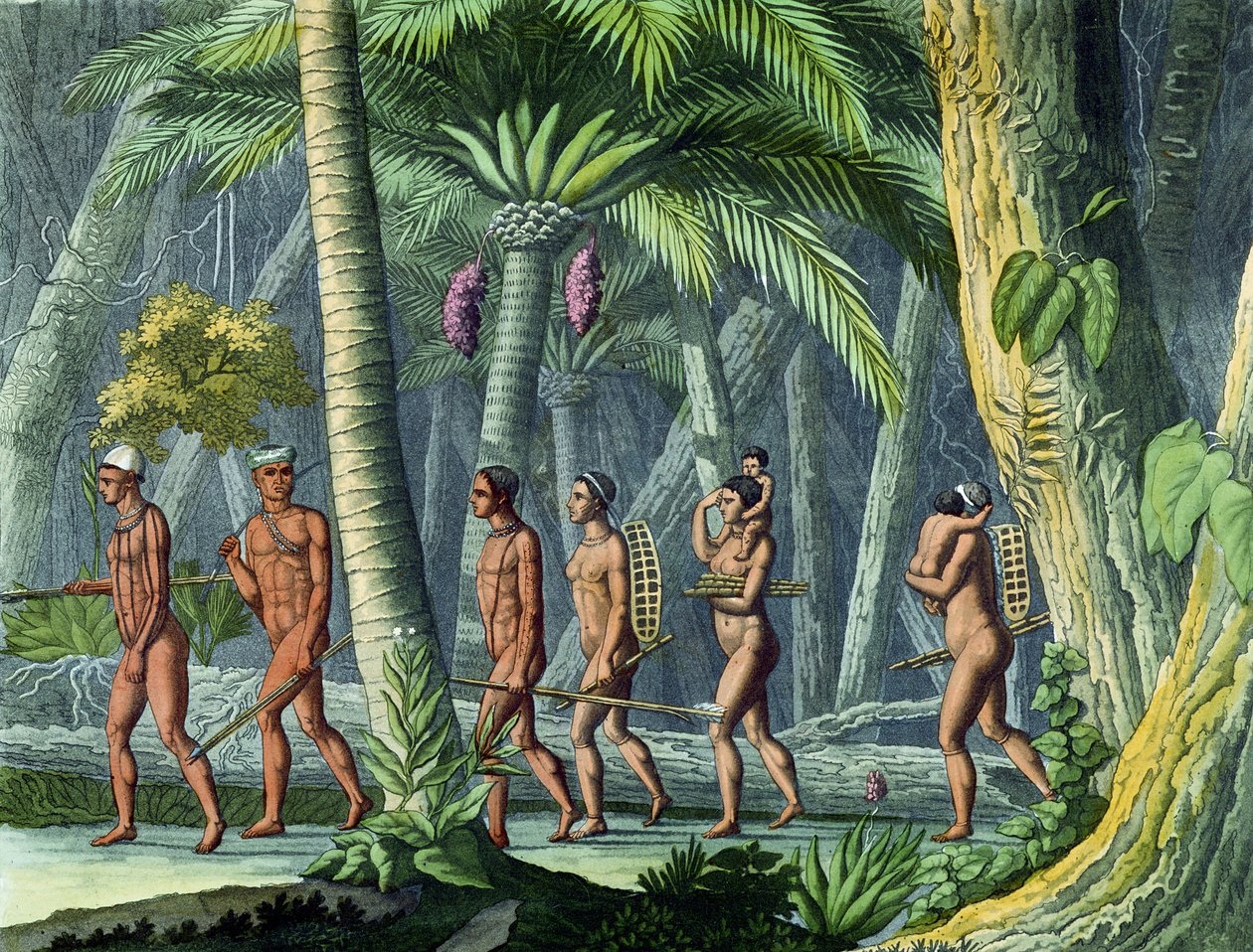 Puris in their Forest, fra 