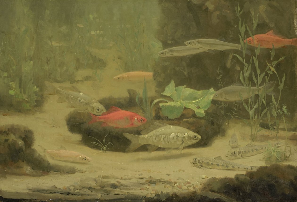 Gull- og sølvfisk i et akvarium av Gerrit Willem Dijsselhof